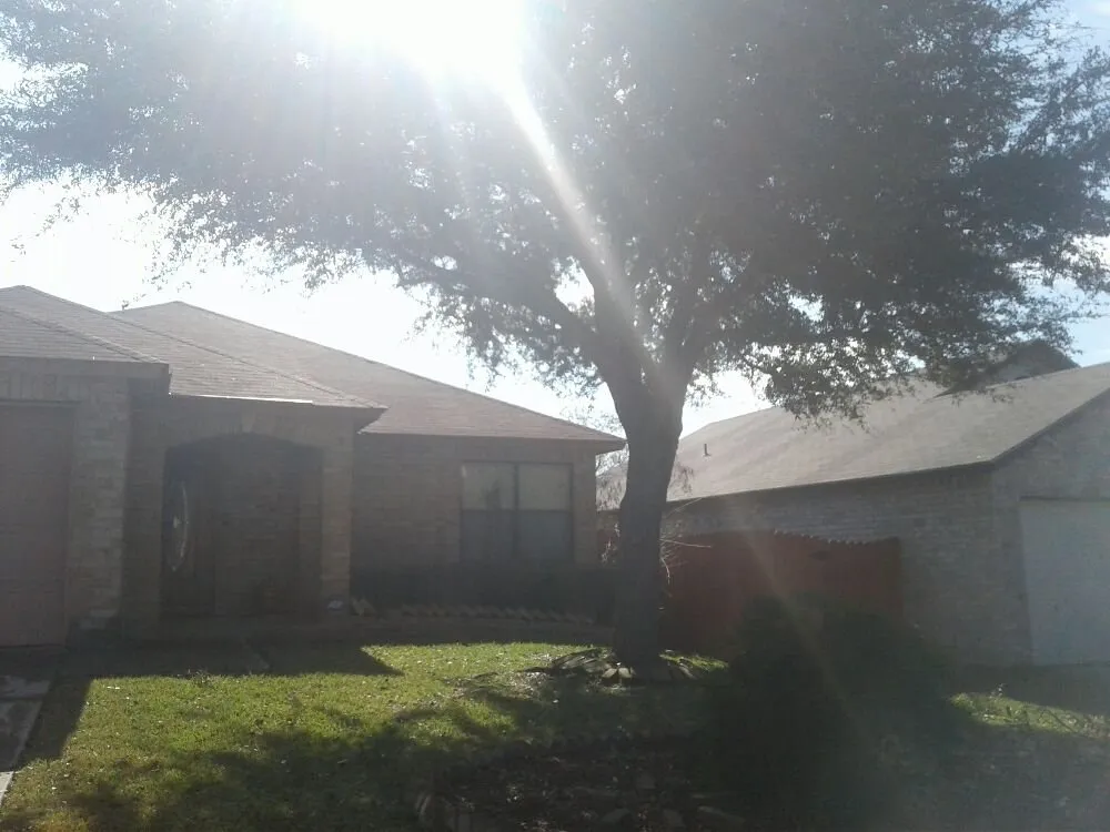 Custom garden landscaping in San Antonio, TX by Buzy Beez Lawn & Treez