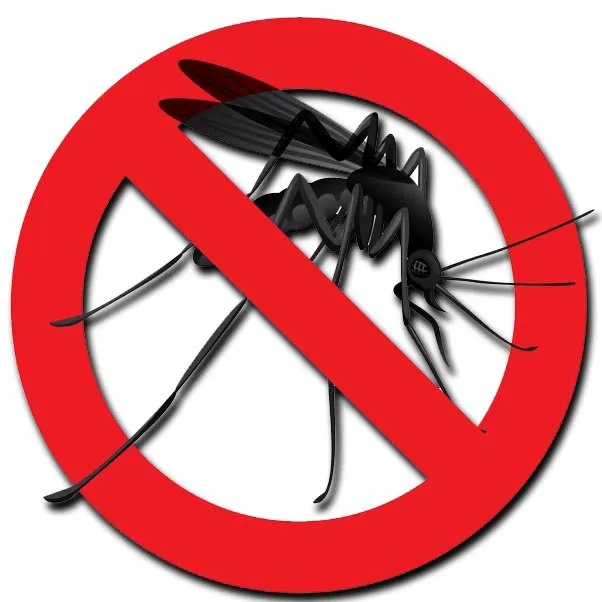 Local yard cleanup service in Hickory, NC by Buzz Beaters Mosquito Control and Lawn Care