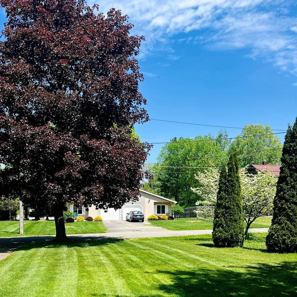 Custom landscape design for outdoor upgrades across Poland, OH - Buzz Bros