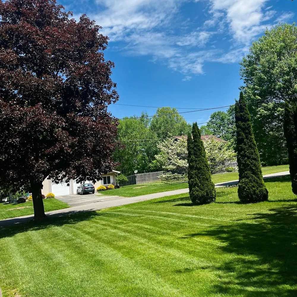 Affordable lawn care service in Poland, OH - Buzz Bros