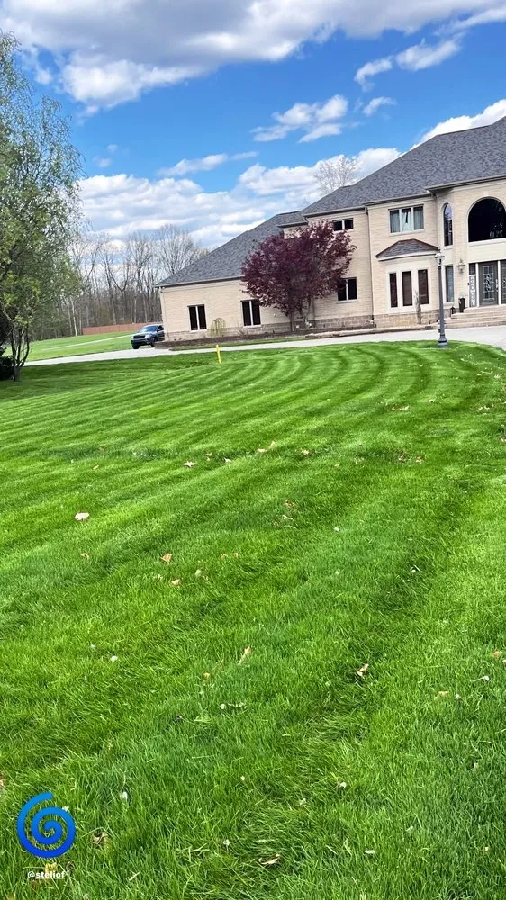 Custom lawn care service for outdoor upgrades across Poland, OH - Buzz Bros