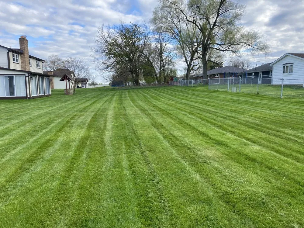 Expert yard cleanup service in Poland, OH by Buzz Bros