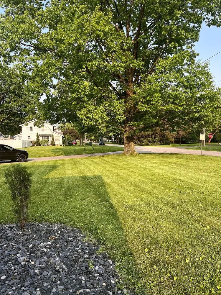Custom residential landscaping experts serving Poland, OH - Buzz Bros