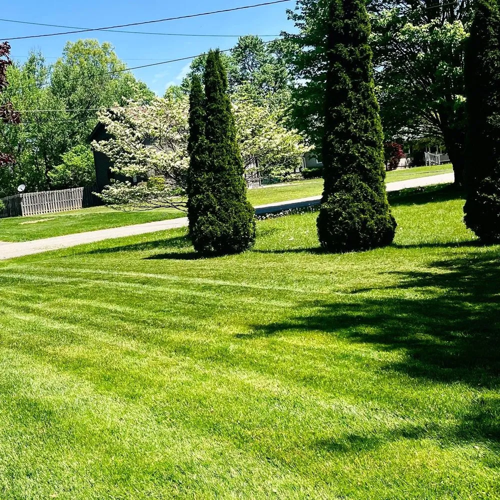 Trusted garden landscaping in Poland, OH - Buzz Bros