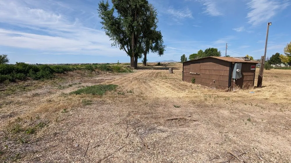 Top-rated landscape installation with custom design across Meridian, ID - Buzz Custom Construction