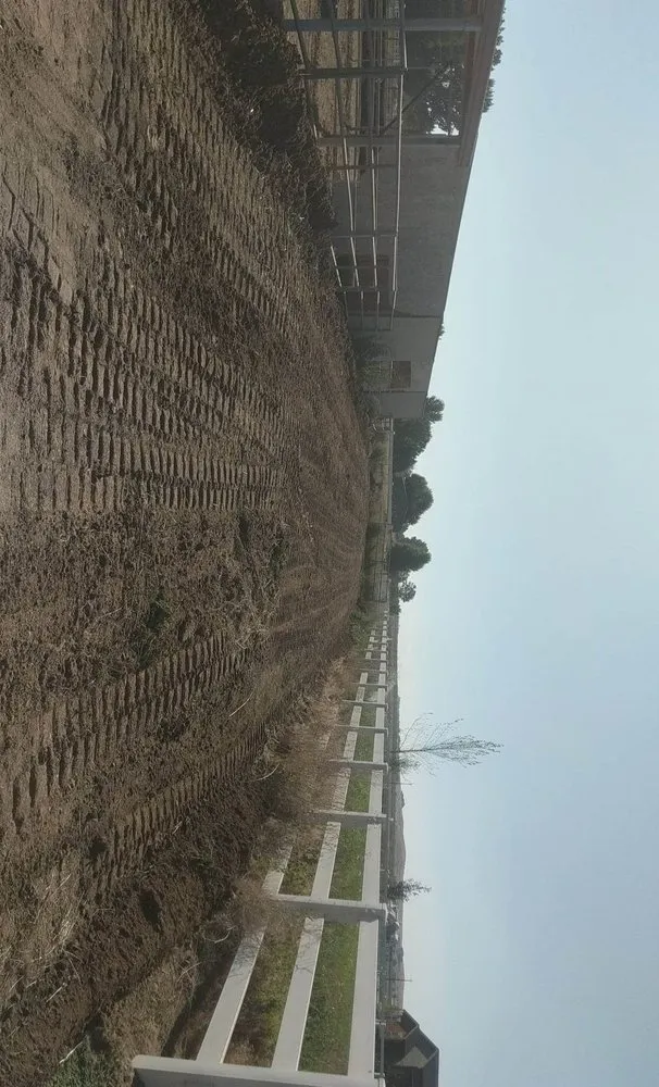 Affordable outdoor landscaping in Meridian, ID by Buzz Custom Construction