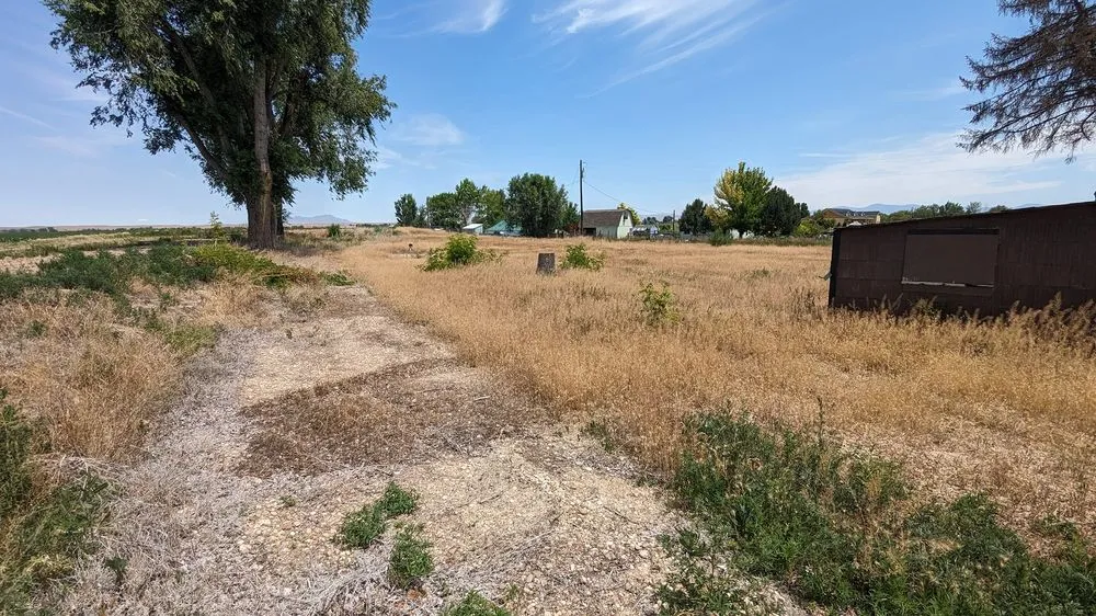 Custom yard cleanup service in Meridian, ID - Buzz Custom Construction