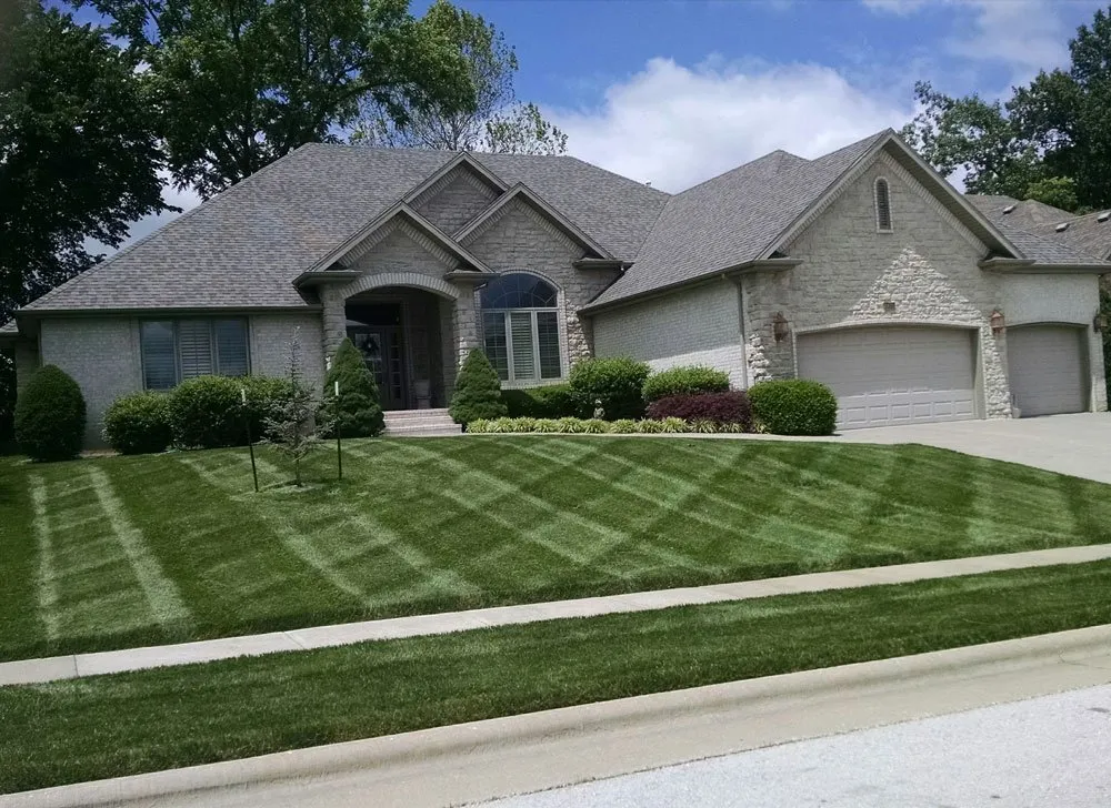 Trusted lawn care service in Springfield, MO by Buzz Cut Lawn Care