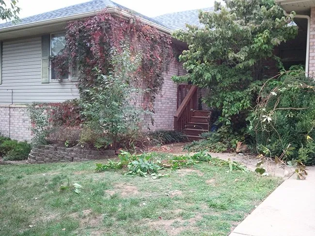 Trusted residential landscaping in Springfield, MO - Buzz Cut Lawn Care