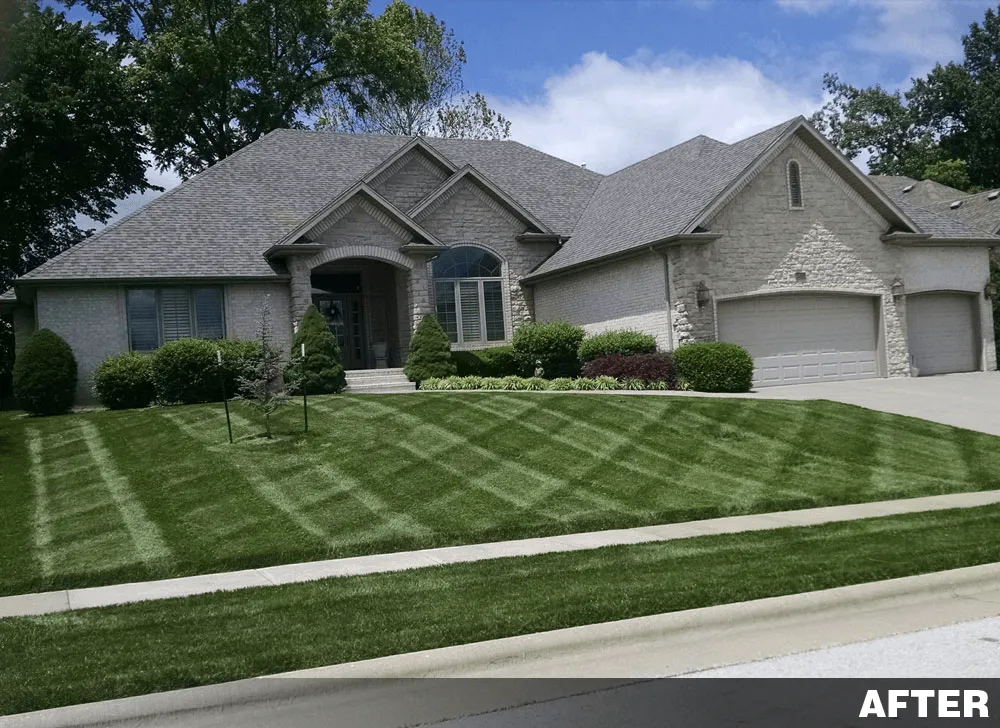 Affordable lawn mowing service in Springfield, MO by Buzz Cut Lawn Care