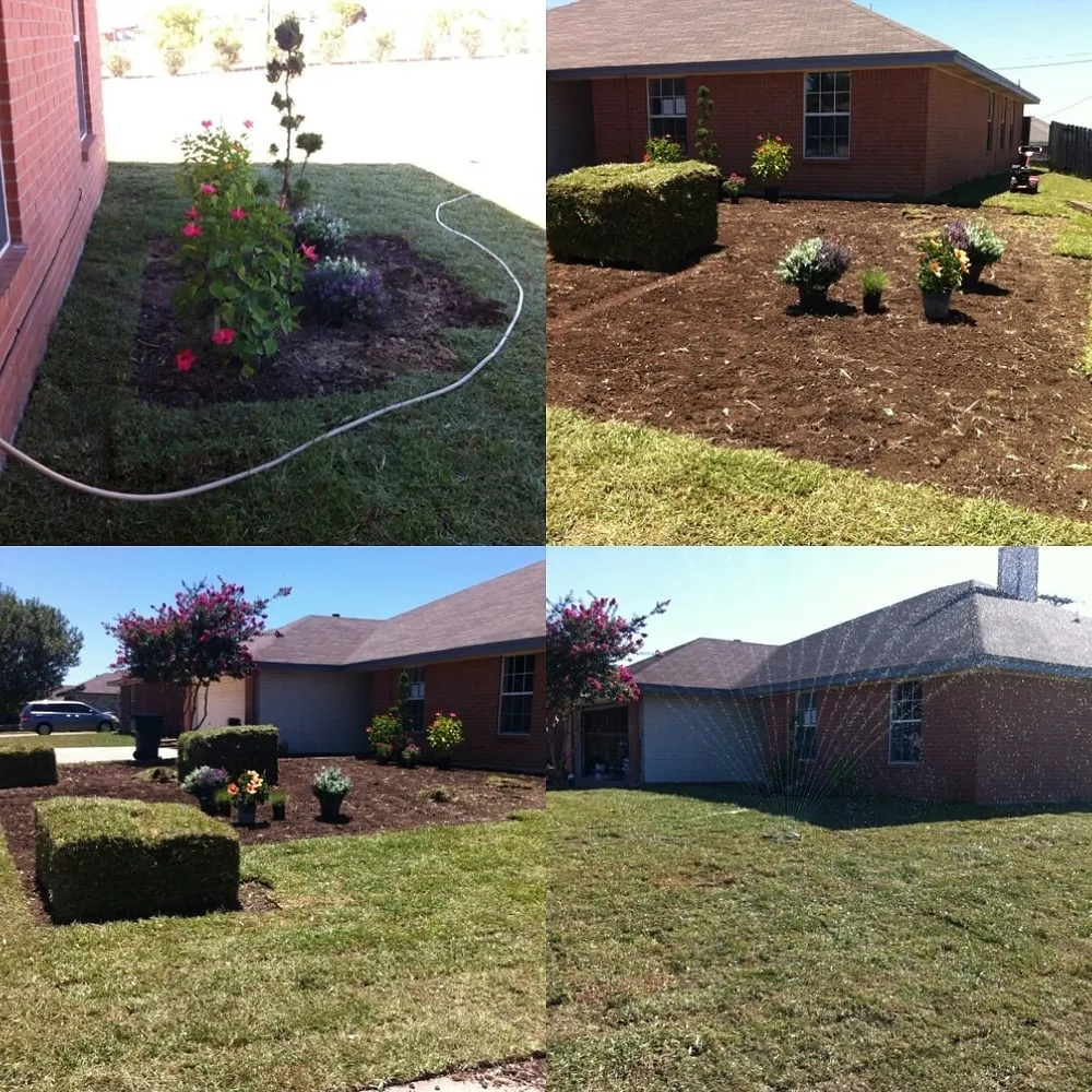 Custom yard cleanup service experts serving Copperas Cove, TX - Buzz Cuts Landscaping