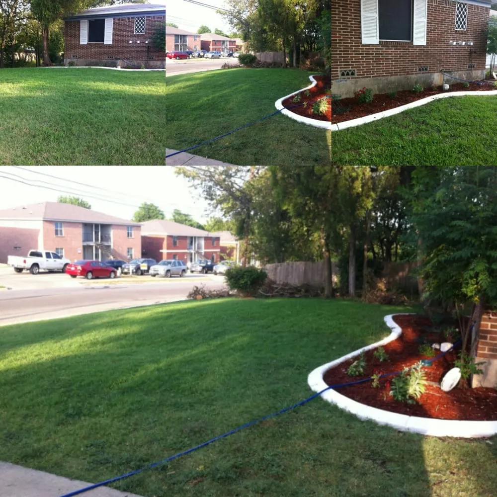 Affordable lawn mowing service in Copperas Cove, TX - Buzz Cuts Landscaping