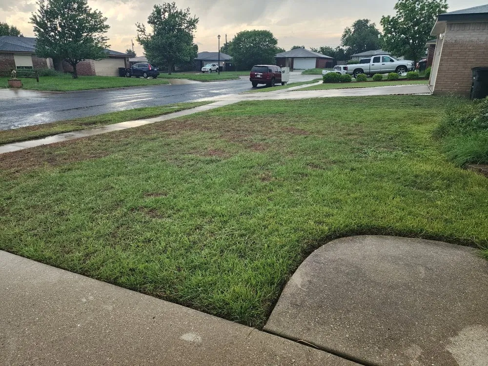 Professional outdoor landscaping experts serving Killeen, TX - Buzz Cuts Landscaping