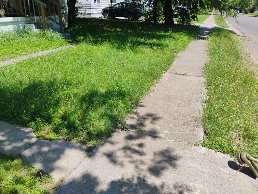 Expert residential landscaping near you in Killeen, TX by Buzz Cuts Landscaping