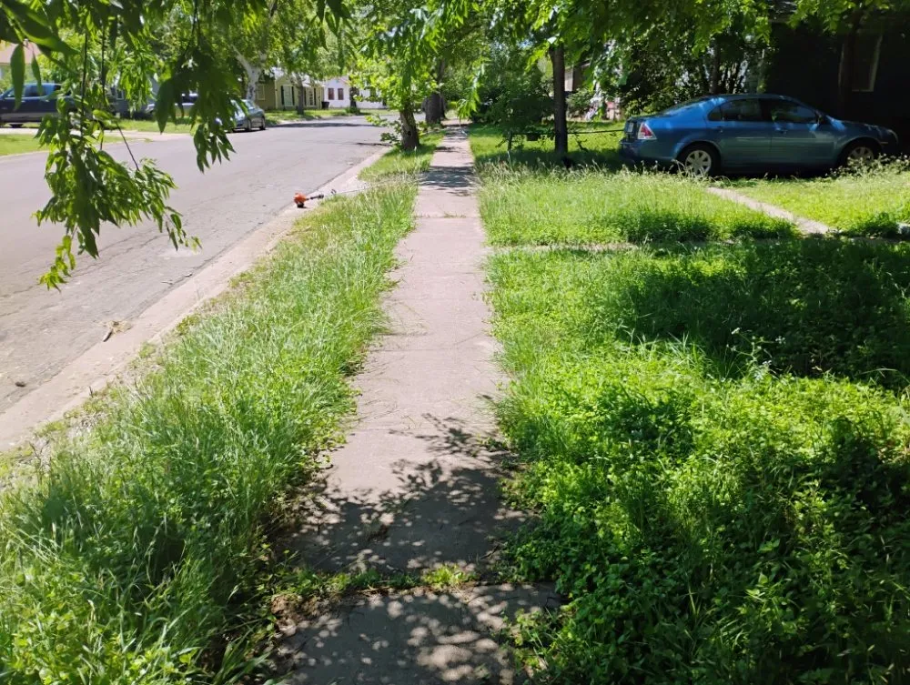 Local yard maintenance for outdoor upgrades across Killeen, TX - Buzz Cuts Landscaping