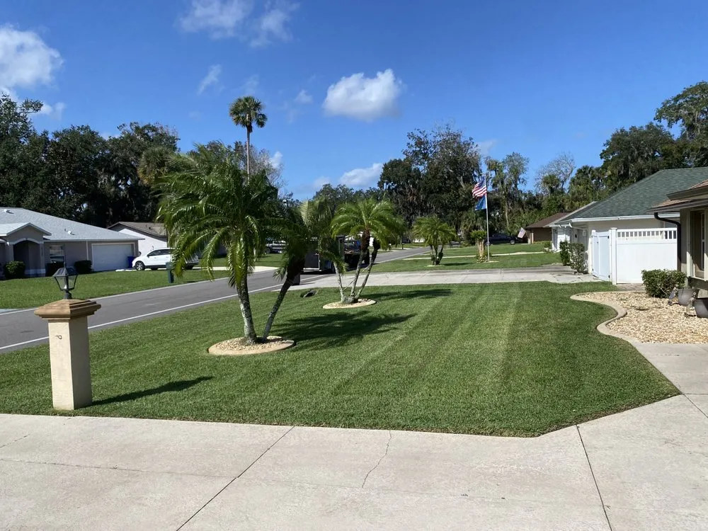 Affordable lawn care service experts serving New Smyrna Beach, FL - Buzz Cuts Lawn and Landscaping