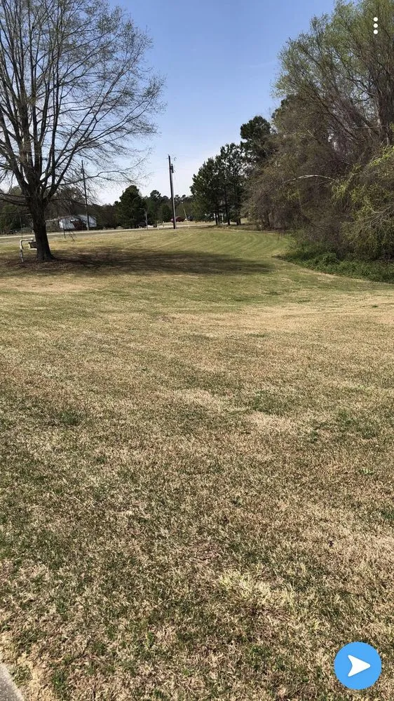 Top-rated landscape installation in Angier, NC - Buzz Cutz