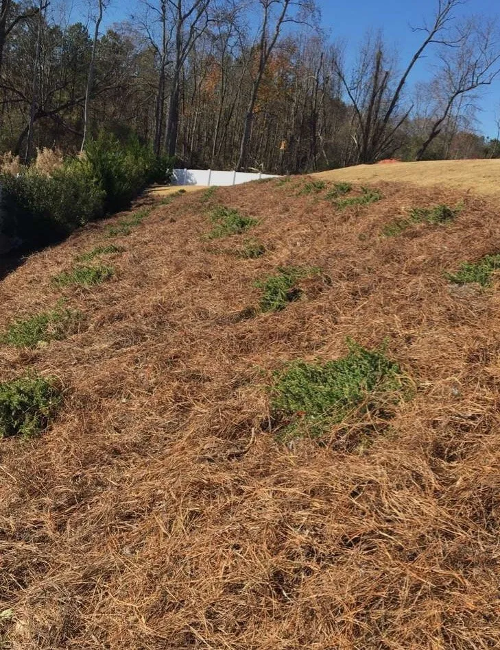 Affordable yard maintenance in Angier, NC by Buzz Cutz