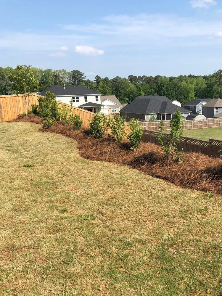 Professional residential landscaping in Angier, NC - Buzz Cutz