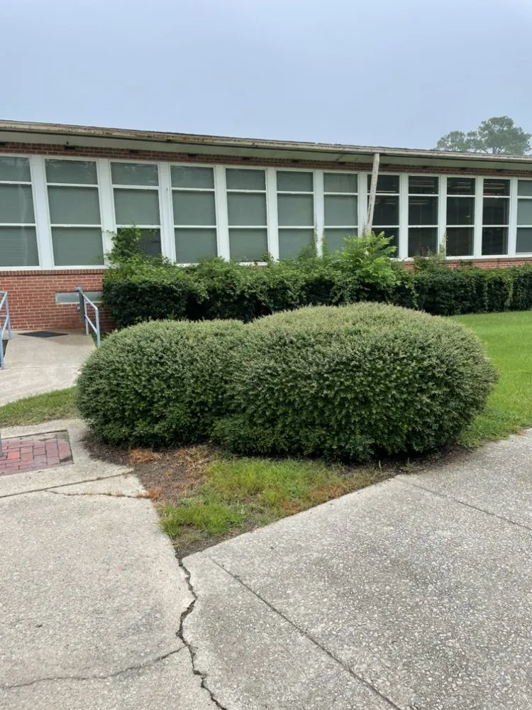 Local lawn mowing service for residential properties in Snow Hill, NC by Buzz Kutz