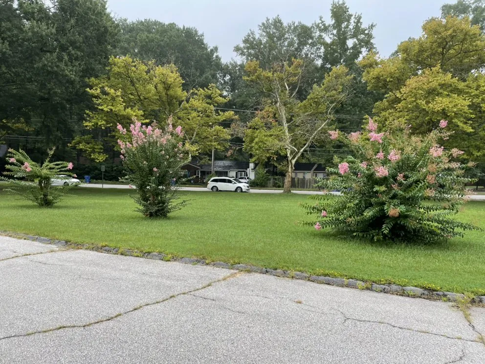 Expert outdoor landscaping for residential properties across Snow Hill, NC - Buzz Kutz