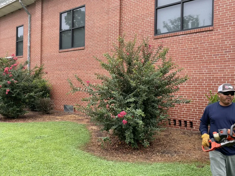 Professional landscape installation with custom design in Snow Hill, NC by Buzz Kutz