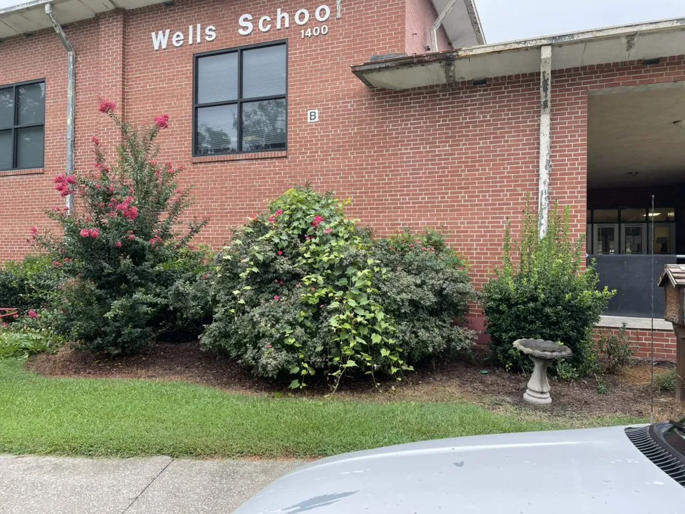 Top-rated garden landscaping experts serving Snow Hill, NC - Buzz Kutz