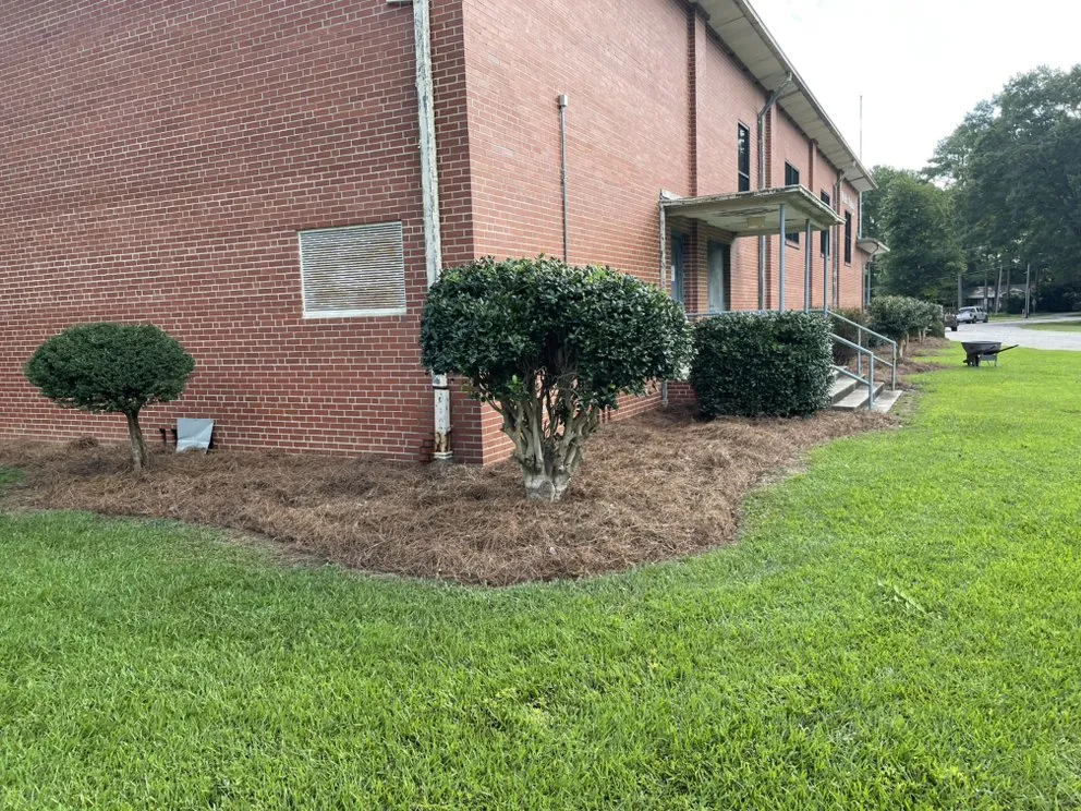 Custom lawn care service with custom design in Snow Hill, NC by Buzz Kutz