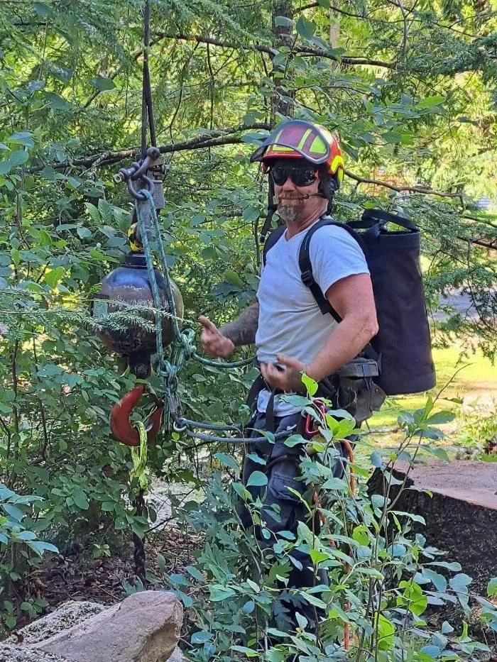 Local outdoor landscaping for beautiful yards in Plymouth, CT by Buzz Tree Specialist