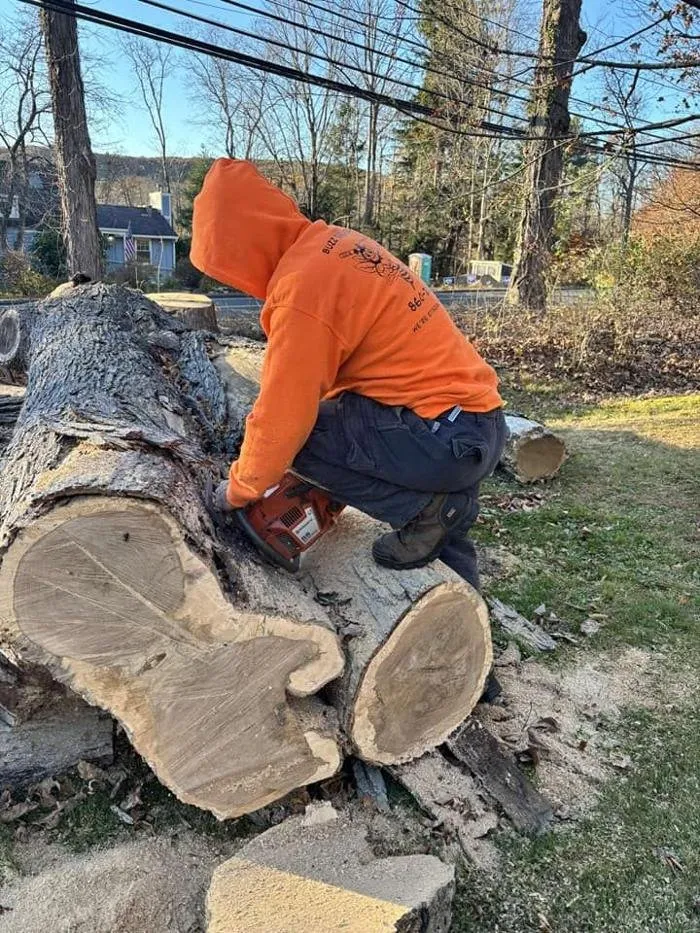 Expert residential landscaping in Plymouth, CT by Buzz Tree Specialist