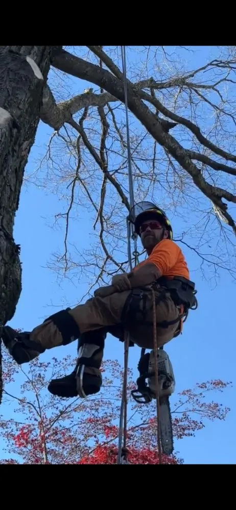 Affordable garden landscaping in Plymouth, CT - Buzz Tree Specialist