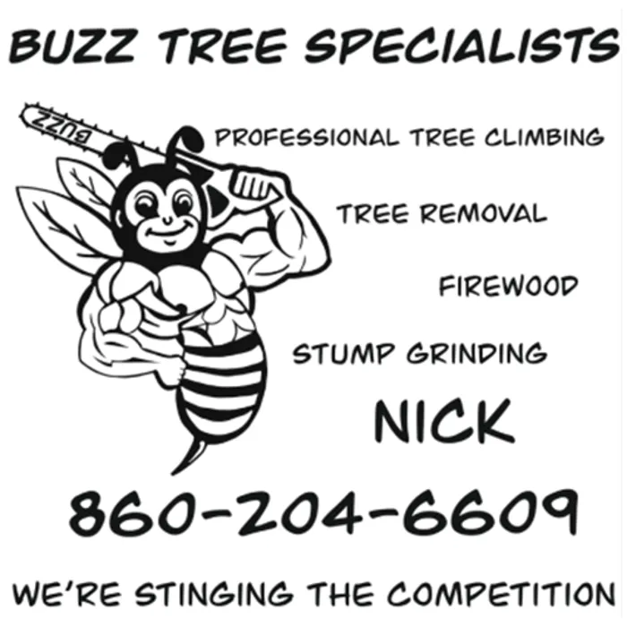 Expert landscape design in Plymouth, CT - Buzz Tree Specialist