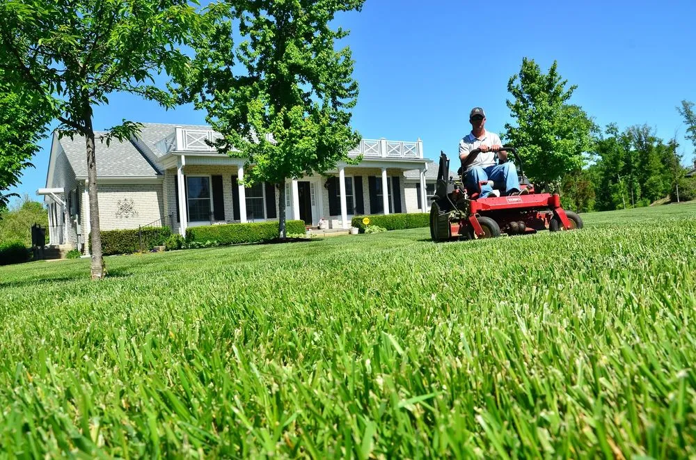 Custom garden landscaping near you across Baton Rouge, LA - BuzzBee Property Solutions