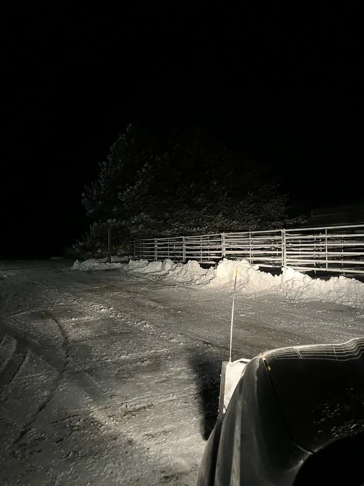 Trusted outdoor landscaping experts serving Cheney, WA - BuzzBee’s Lawn Care