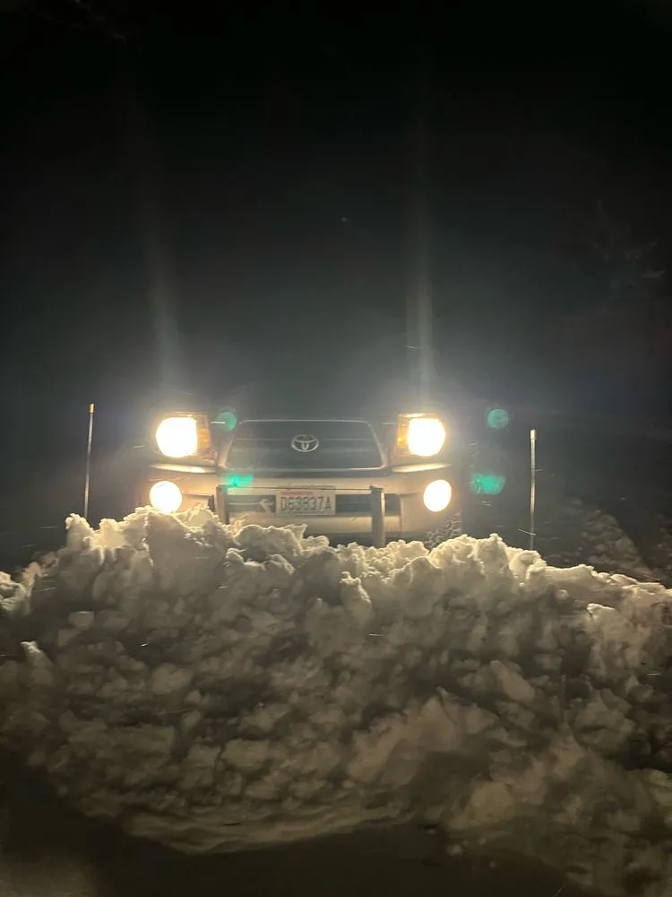 Professional lawn care service for outdoor upgrades in Cheney, WA by BuzzBee’s Lawn Care