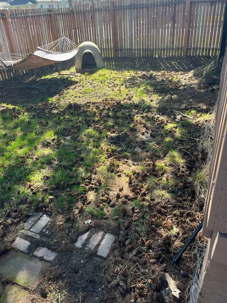 Custom landscape design experts serving Cheney, WA - BuzzBee’s Lawn Care