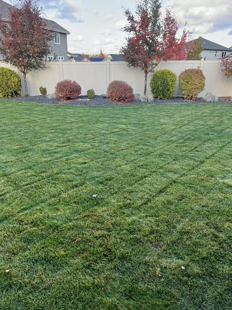 Professional outdoor landscaping in Cheney, WA by BuzzBee’s Lawn Care