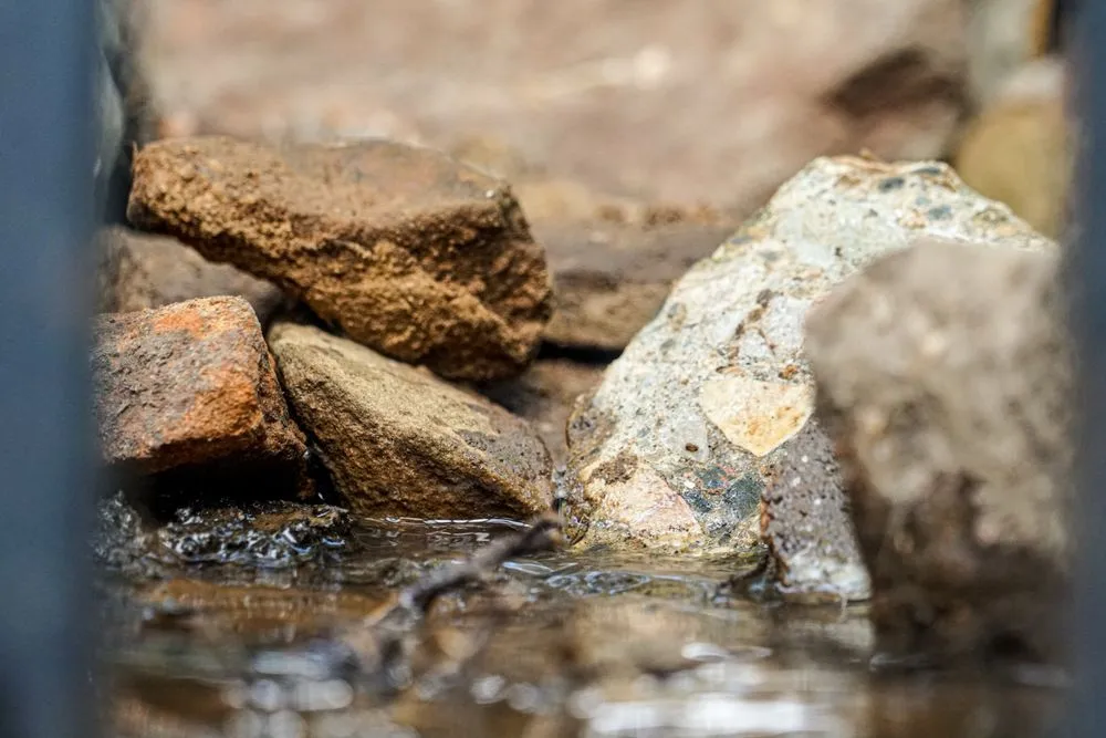 Affordable garden landscaping in Colleyville, TX - Buzzcutters Landscaping