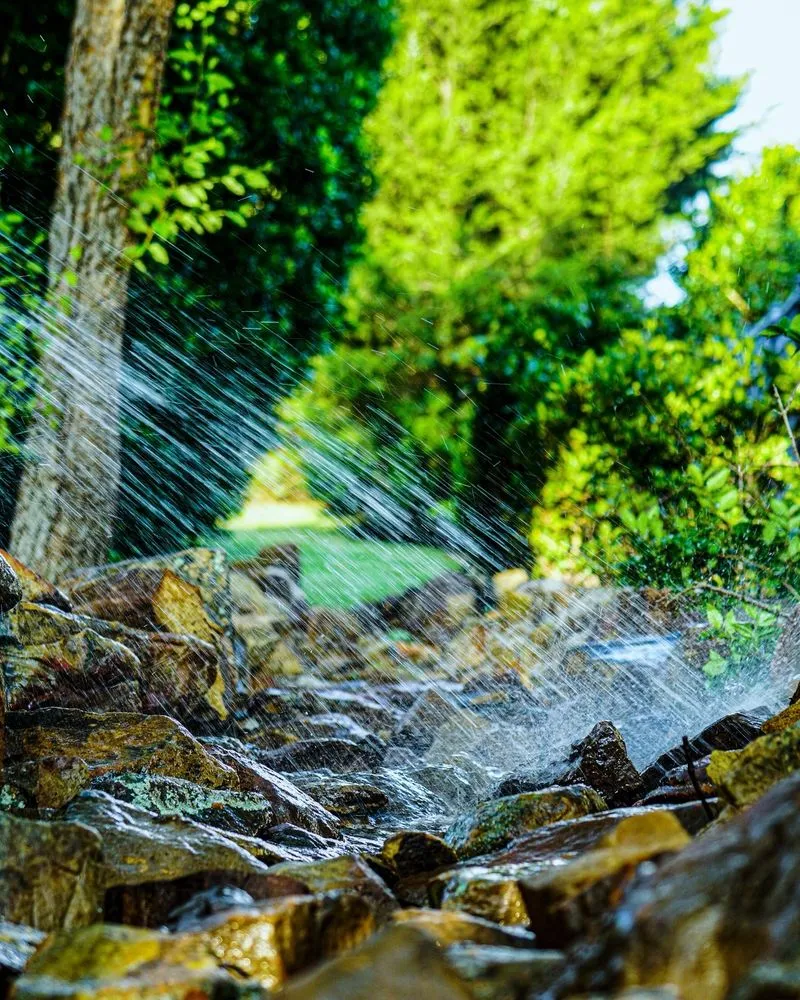 Custom yard cleanup service experts serving Colleyville, TX - Buzzcutters Landscaping