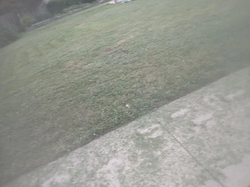 Trusted garden landscaping near you across South Roxana, IL - Buzzybzzs Cleaning & Lawn Care