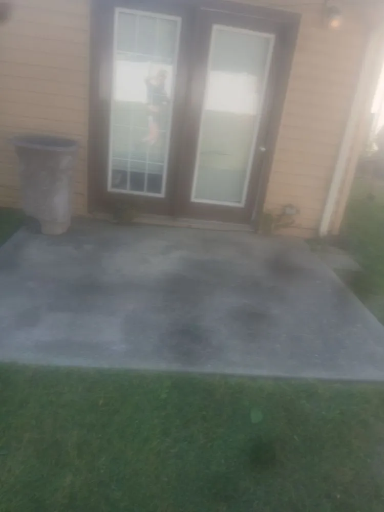 Local lawn care service experts serving South Roxana, IL - Buzzybzzs Cleaning & Lawn Care