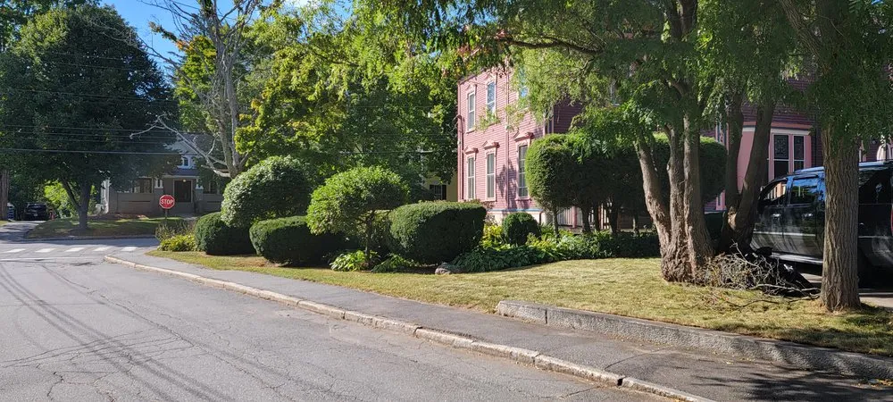 Professional landscaping services in Brunswick, ME by Buzzy's Landscapes