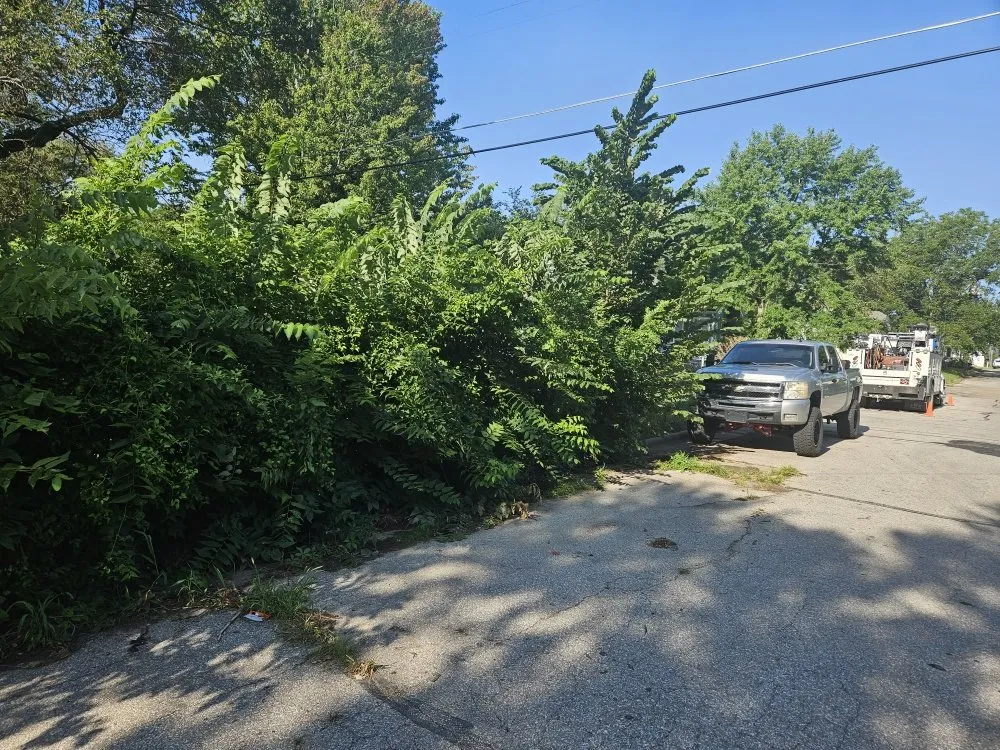 Professional residential landscaping in El Dorado, KS by Buzz'z Lawn & Landscaping