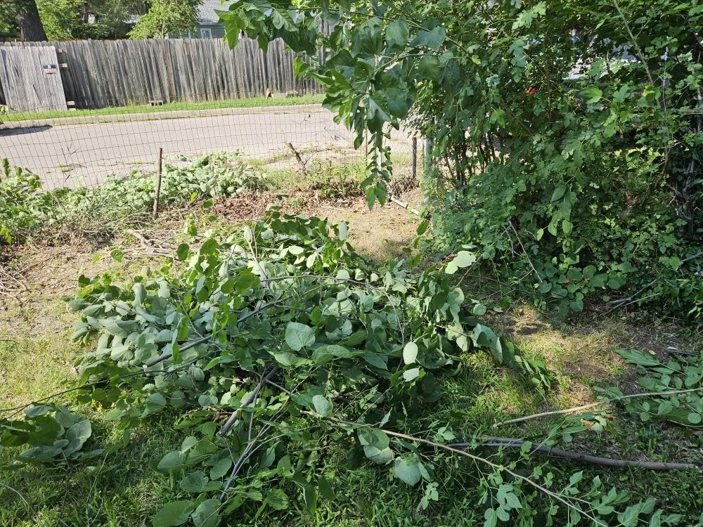 Affordable landscape installation experts serving El Dorado, KS - Buzz'z Lawn & Landscaping