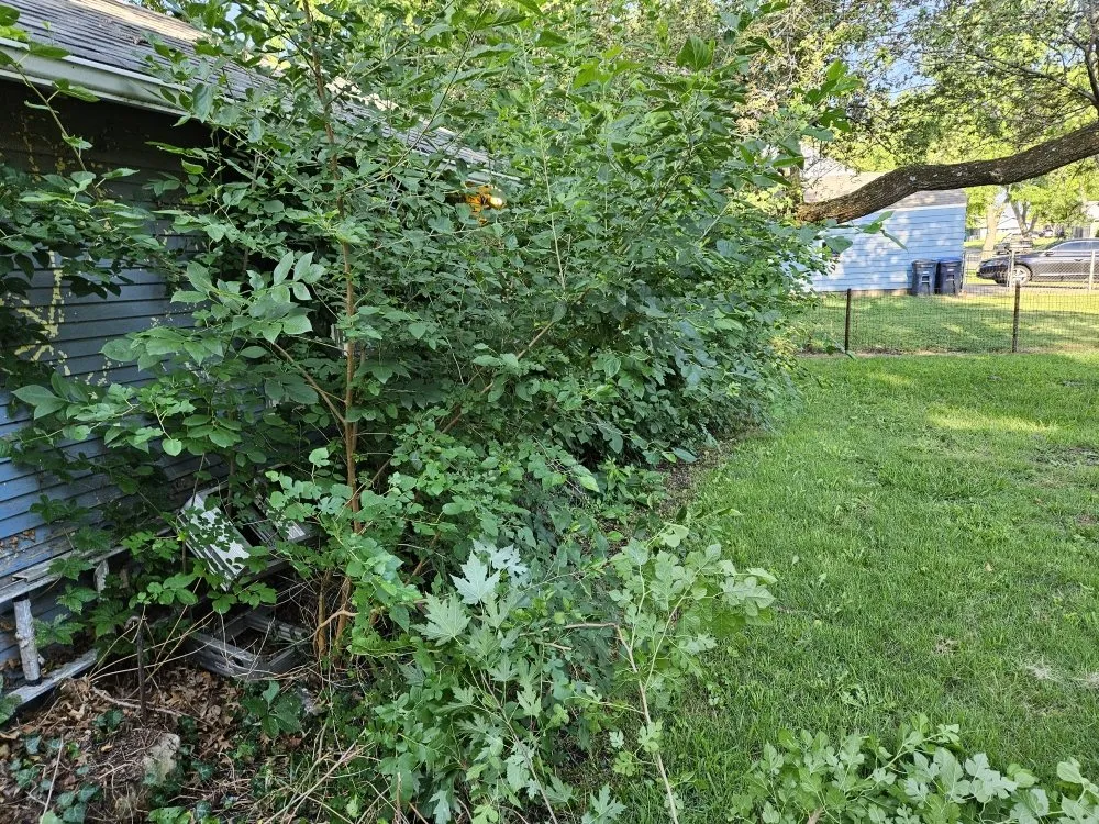 Expert residential landscaping in El Dorado, KS - Buzz'z Lawn & Landscaping