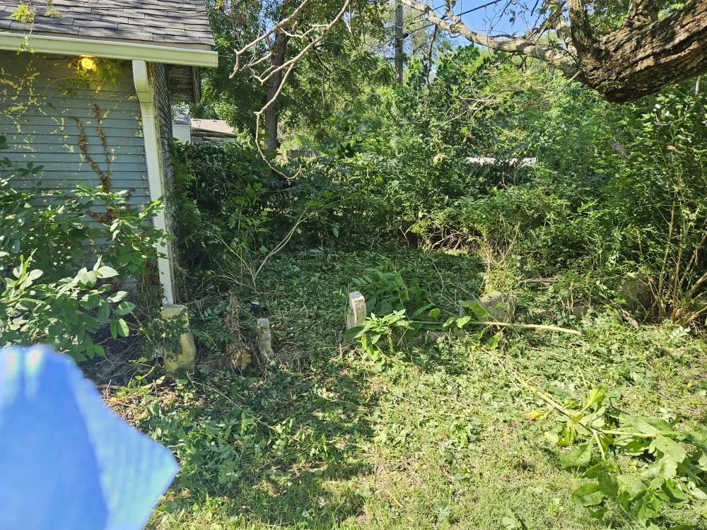 Professional yard cleanup service in El Dorado, KS by Buzz'z Lawn & Landscaping