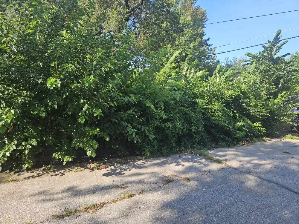 Local yard maintenance for outdoor upgrades across El Dorado, KS - Buzz'z Lawn & Landscaping