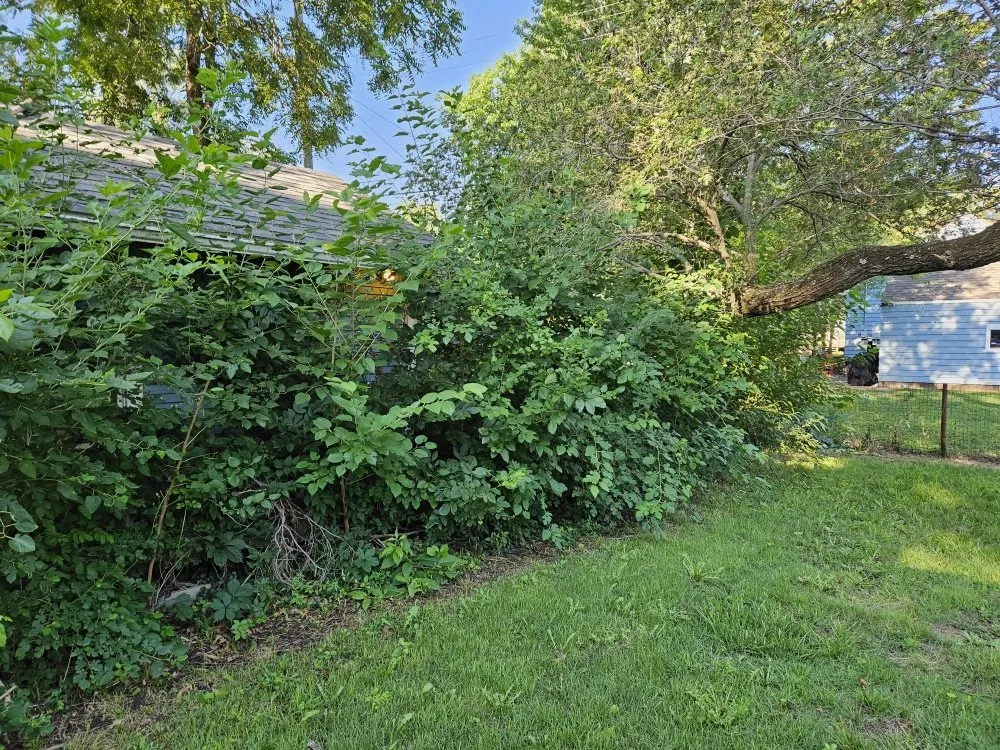 Trusted landscape design experts serving El Dorado, KS - Buzz'z Lawn & Landscaping