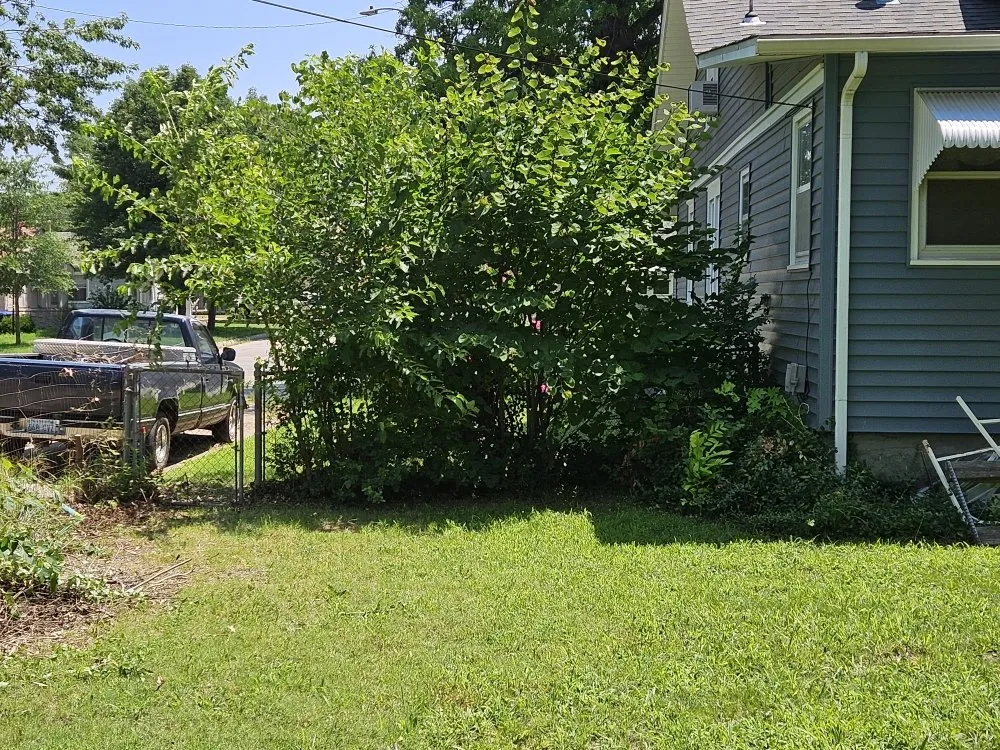 Custom yard maintenance for homes across El Dorado, KS - Buzz'z Lawn & Landscaping