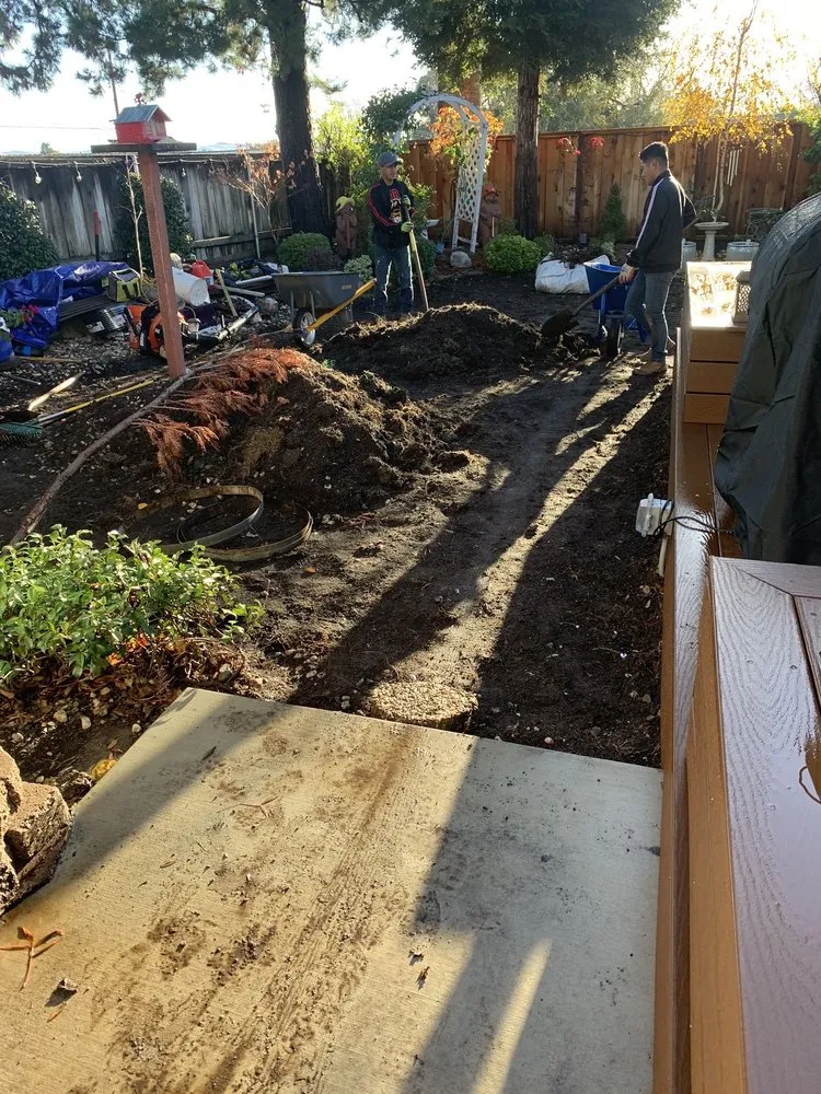 Trusted landscaping services with custom design across Concord, CA - B&V Gardening and Landscaping Handyman Services